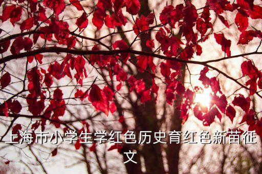 上海市重視紅色文化，上海市小學生學紅色歷史育紅色新苗征文