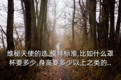 維密模特,邁克爾杰克遜維密模特