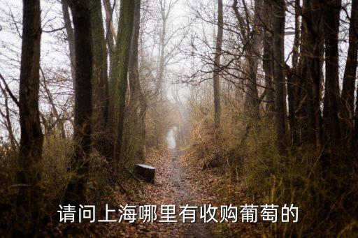 請問上海哪里有收購葡萄的
