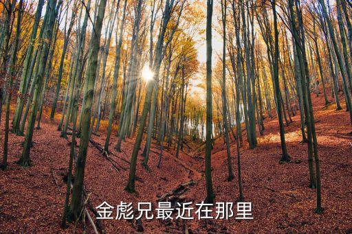 東莞阿元哥結(jié)婚照，金彪兄最近在那里