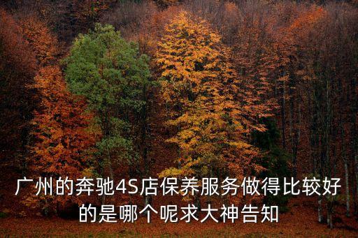廣州的奔馳4S店保養(yǎng)服務(wù)做得比較好的是哪個(gè)呢求大神告知