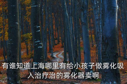 有誰(shuí)知道上海哪里有給小孩子做霧化吸入治療治的霧化器賣啊