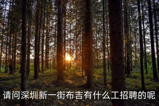 深圳布吉會所招聘信息，請問深圳新一街布吉有什么工招聘的呢