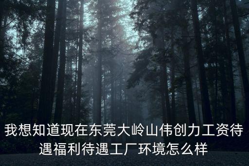 我想知道現在東莞大嶺山偉創力工資待遇福利待遇工廠環境怎么樣