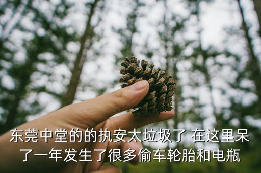 東莞塘廈交警中隊抓偷車，東莞塘廈交警