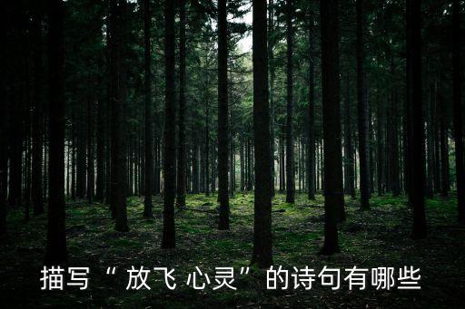 描寫“ 放飛 心靈”的詩句有哪些
