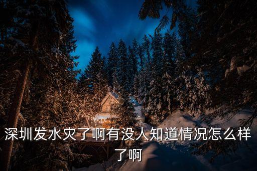 深圳洪水事件，深圳遭遇2008年以來最大暴雨 水淹到腰你經歷過嗎
