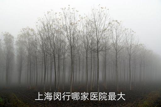 上海閔行哪家醫院最大