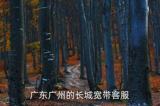 廣東廣州的長城寬帶客服