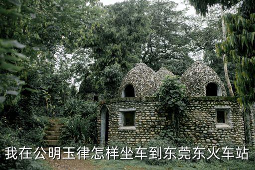 我在公明玉律怎樣坐車到東莞東火車站