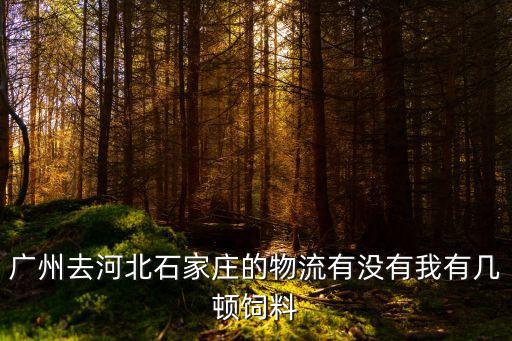 廣州去河北石家莊的物流有沒有我有幾頓飼料