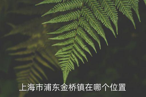 上海市金橋鎮在哪里，上海金橋在那