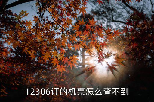 深圳飛東營機票查不到，12306訂的機票怎么查不到