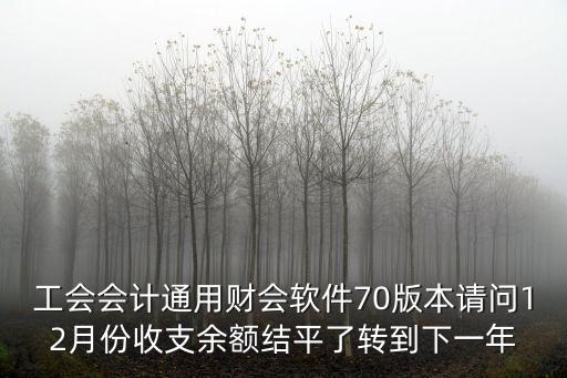 通用工會財會軟件  上海市，通用工會財務軟件中如何把會計期改為全年呢