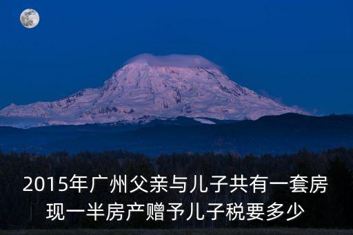 2015年廣州父親與兒子共有一套房現一半房產贈予兒子稅要多少