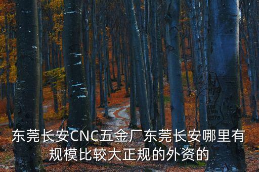 東莞長安CNC五金廠東莞長安哪里有規模比較大正規的外資的