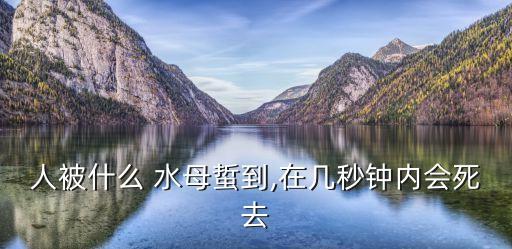 澳大利亞箱形水母