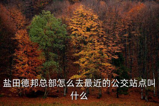 鹽田德邦總部怎么去最近的公交站點叫什么