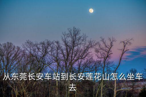 東莞總站到長安蓮花山怎么坐車，從東莞南城怎樣坐車去長安蓮花山