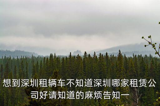想到深圳租輛車不知道深圳哪家租賃公司好請知道的麻煩告知一