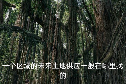 一個區域的未來土地供應一般在哪里找的