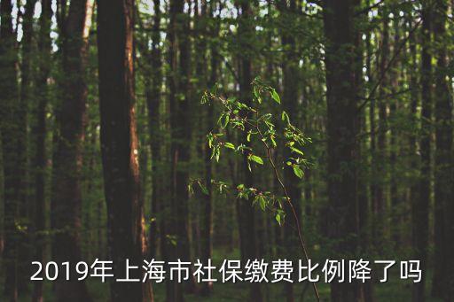 上海市社保費率變動，2019年上海市社保繳費比例降了嗎