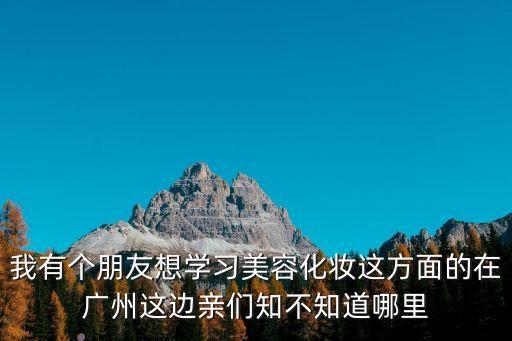 我有個(gè)朋友想學(xué)習(xí)美容化妝這方面的在廣州這邊親們知不知道哪里