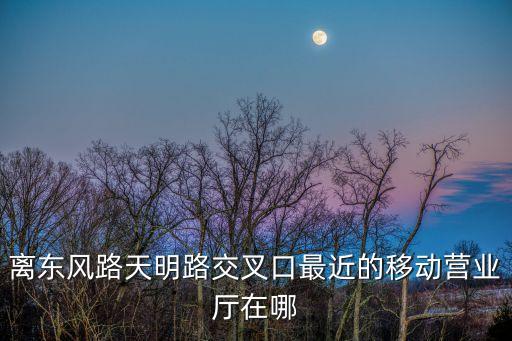 離東風路天明路交叉口最近的移動營業廳在哪