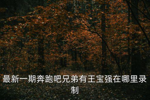 最新一期奔跑吧兄弟有王寶強在哪里錄制