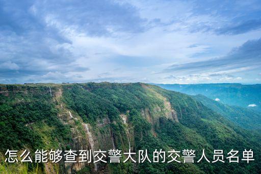 怎么能夠查到交警大隊的交警人員名單