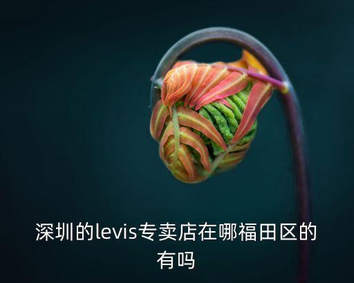 深圳瑞利達(dá)，深圳的levis專賣店在哪福田區(qū)的有嗎