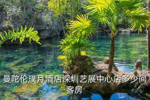 深圳市藝展中心 住宿，請問深圳會展中心周邊有較實惠的住宿呢