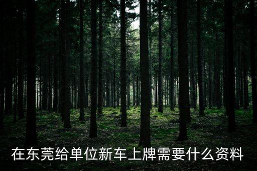 在東莞給單位新車上牌需要什么資料