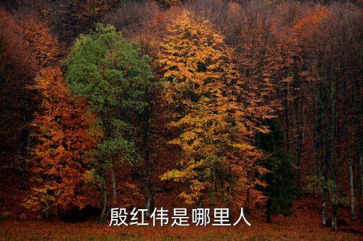 廣州紅偉桑拿，殷紅偉是哪里人