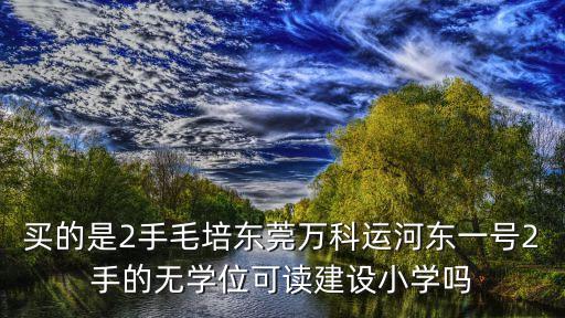 東莞萬科濱海大都會小學，外來工的孩子