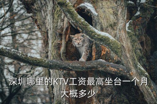 深圳哪里的KTV工資最高坐臺一個月大概多少