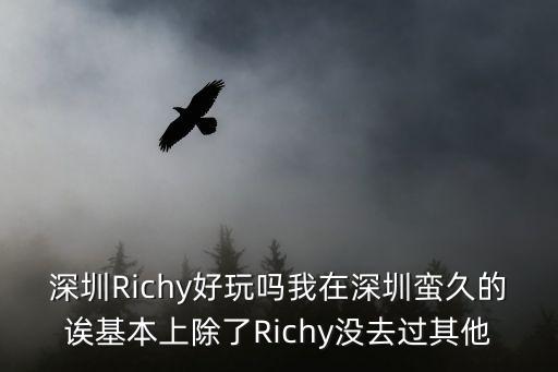 深圳Richy好玩嗎我在深圳蠻久的誒基本上除了Richy沒去過其他