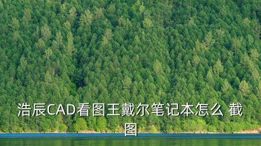 浩辰CAD看圖王戴爾筆記本怎么 截圖