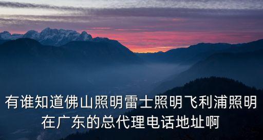有誰知道佛山照明雷士照明飛利浦照明在廣東的總代理電話地址啊
