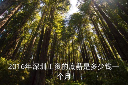深圳16年基本工資，2016年深圳工資底薪是多少