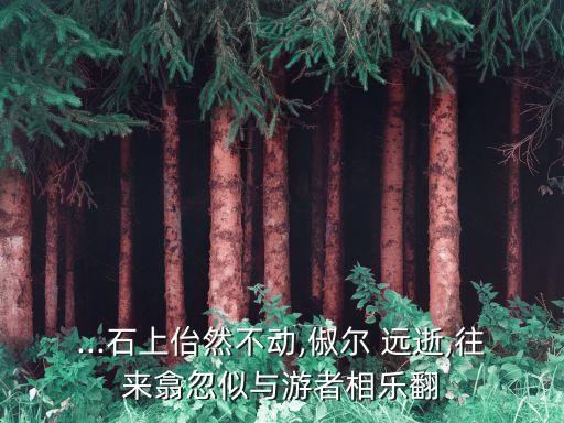 ...石上佁然不動(dòng),俶爾 遠(yuǎn)逝,往來(lái)翕忽似與游者相樂(lè)翻