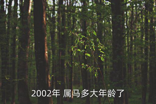 屬馬的今年幾歲,78年屬馬的虛歲年