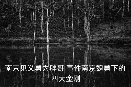 南京見義勇為胖哥 事件南京魏勇下的四大金剛