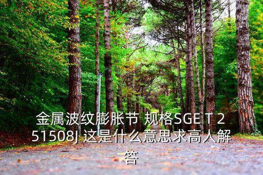金屬波紋膨脹節 規格SGE T 251508J 這是什么意思求高人解答