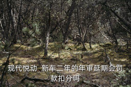 現代悅動  新車二年的年審延期會罰款扣分嗎