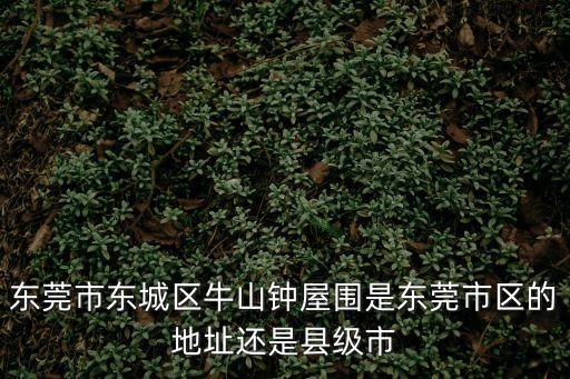 東莞市東城區(qū)牛山鐘屋圍是東莞市區(qū)的地址還是縣級(jí)市