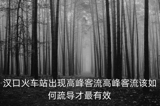 漢口火車站出現高峰客流高峰客流該如何疏導才最有效