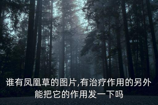 鳳尾草能治什么病,鳳尾草有什么用?