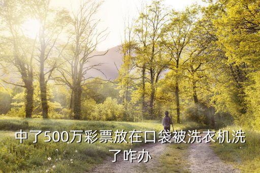 東莞彩票最新案件進展，中了500萬彩票放在口袋被洗衣機洗了咋辦