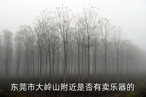東莞市大嶺山附近是否有賣樂器的